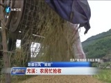 东南晚报 《东南晚报》 20160801