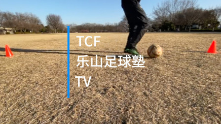 TCF乐山足球-内侧敲球动作详解
