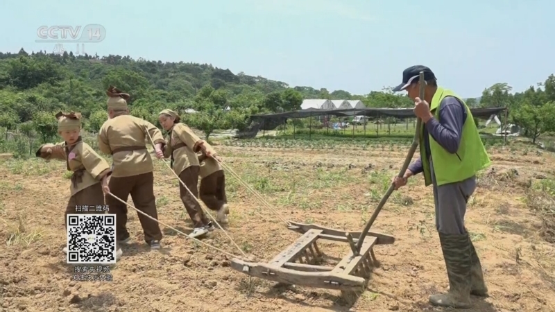 快乐体验 《快乐体验》 20250424 小野农场之汗滴禾下土