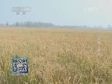 我爱发明 《我爱发明》 20140806 打包一条龙
