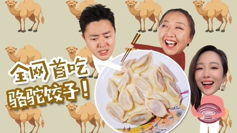 XFun吃货俱乐部2019 全网首吃骆驼馅饺子，“沙漠之舟”吃上去到底什么味！摩洛哥9