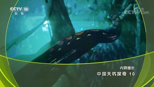 地理中国 《地理中国》 20190707 中国天坑探奇 10