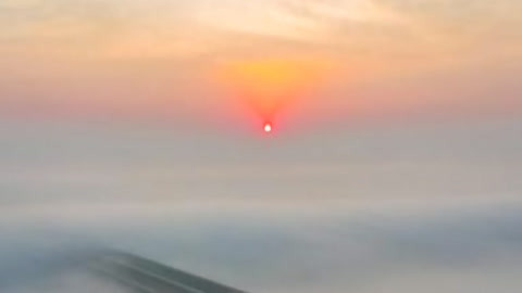 小强热线20210105