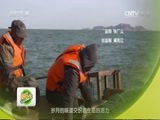 味道 《味道》 20170206 寻找记忆中的年味（十）
