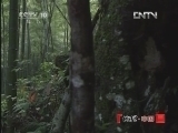 地理中国 《地理中国》 20121223 “毒土”迷雾