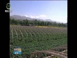 青海新闻联播 《青海新闻联播》 20170628