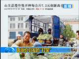 新闻1+1 由涨价引发的“打架”