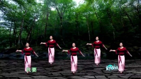 广场舞 歌曲好听舞蹈好看的广场舞