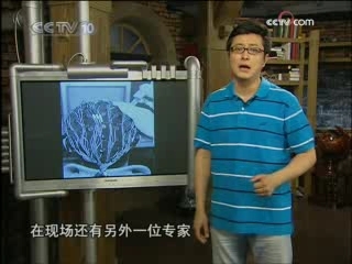 走近科学 虚拟的诱惑 下