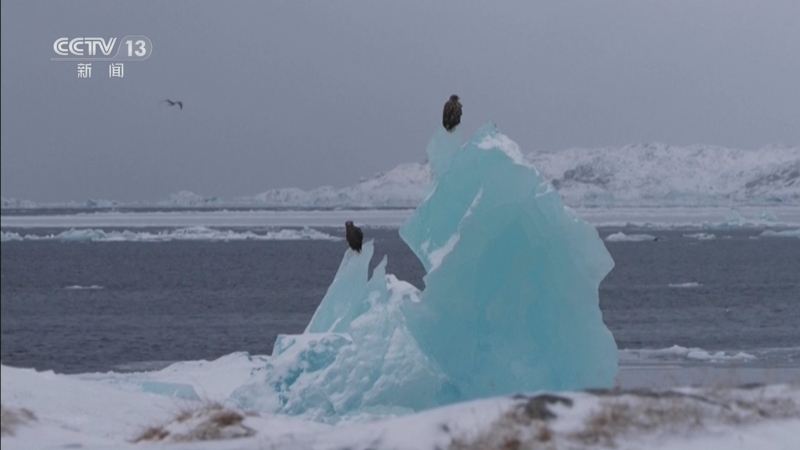 《新闻30分》 20260111