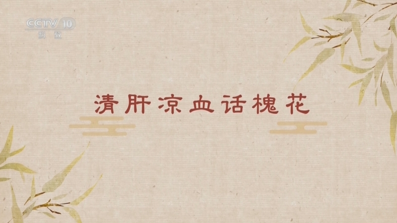 《百家讲坛》 20251227 舌尖上的养生（第三部） 3 清肝凉血话槐花