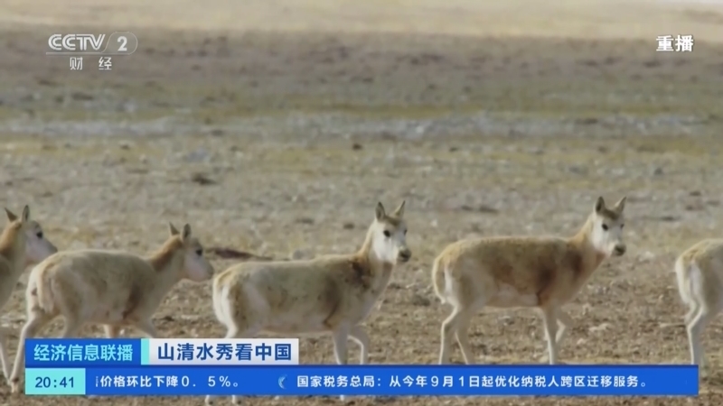 经济信息联播 《经济信息联播》 20240815