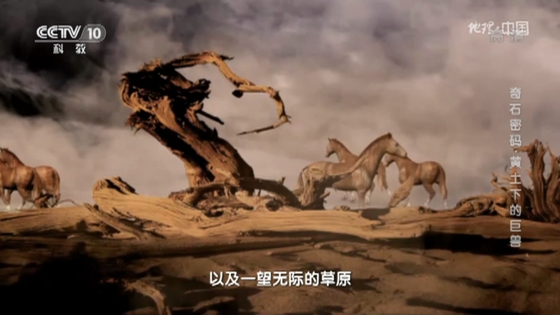 地理中国 《地理·中国》 20201217 奇石密码·黄土下的巨兽