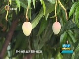 新视野 《新视野》 20170911