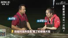 致富经 [致富经]倒霉阿强养怪鱼 蔫了吧唧赚大钱 20180823