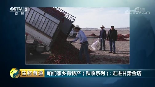 生财有道 《生财有道》 20181009 咱们家乡有特产（秋收系列）：走进甘肃金塔