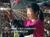 焦点访谈 《焦点访谈》 20161127 企业扶贫：“输血”更要“造血”