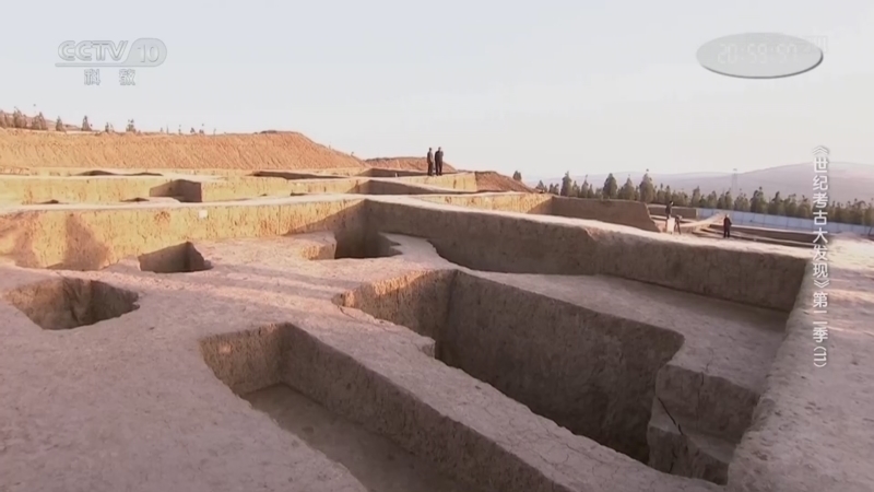 《探索·发现》 20260116 《世纪考古大发现》第二季（11）