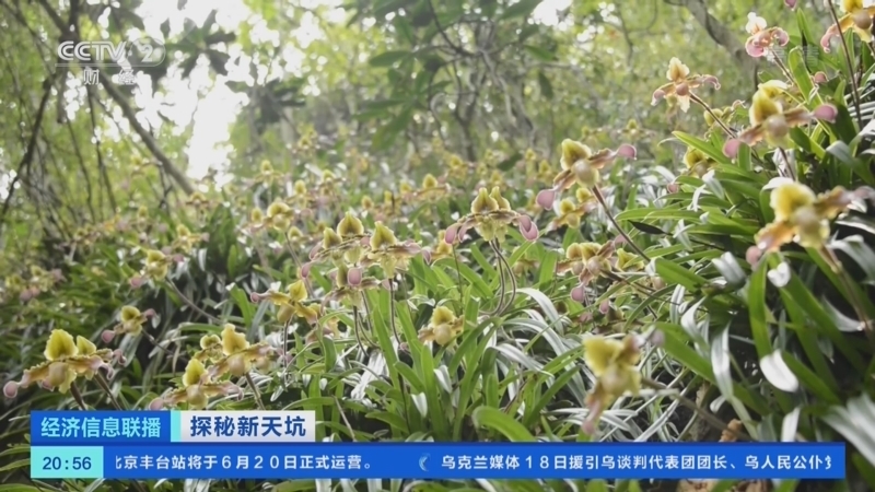 经济信息联播 《经济信息联播》 20220619
