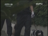 《天网》 20121009 八集系列片《警·犬》——比武执勤（上集）
