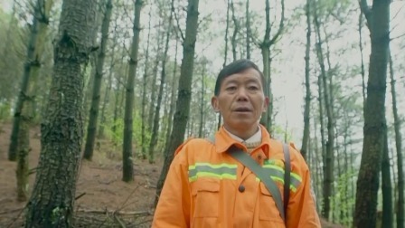 与梦想合拍 守住青山不放松 脱贫攻坚看海雀