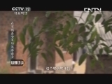 心理访谈 《心理访谈》 20131025 在肯德基安家的流浪母女