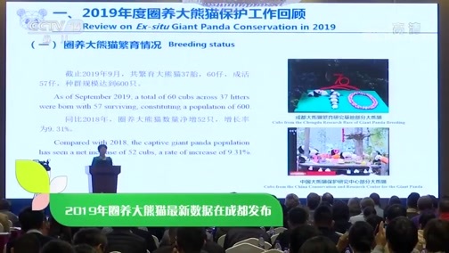 新闻袋袋裤 《新闻袋袋裤》 20191113