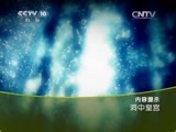 地理中国 《地理中国》 20150526 洞中皇宫