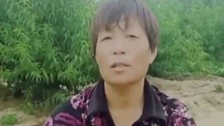 每日新闻报 史上最热6月刚过 新一轮热浪随后跟上