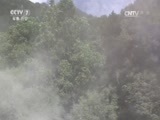 军事纪实 《军事纪实》 20170815 灾难降临的时刻—九寨沟地震救援纪实（下）