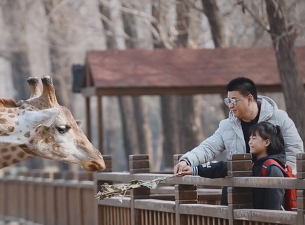 熊家姐妹花第一次喂长颈鹿