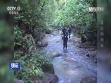 见证 《见证》 20160806 森林卫士（三）最后的雨林