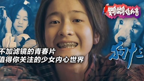 鹦鹉话外音 《狗十三》 值得你关注
