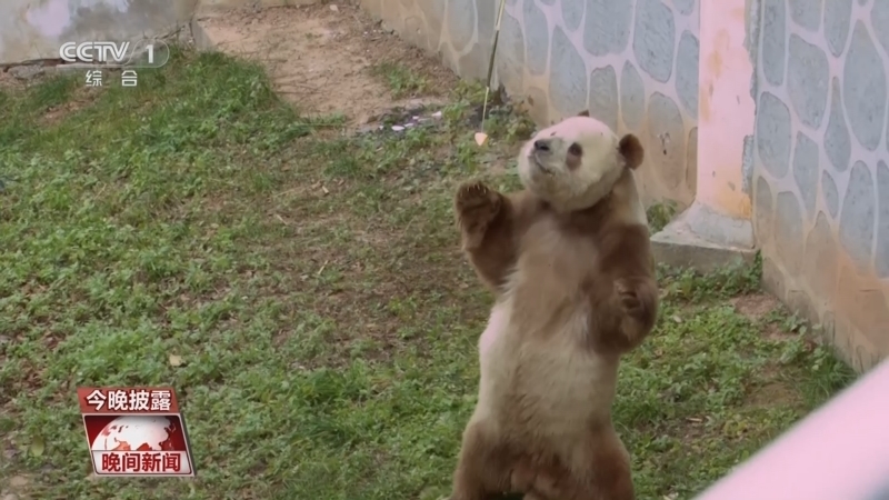 《晚间新闻》 20251215