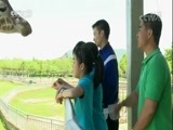 快乐体验 《快乐体验》 20180125 动物厨师
