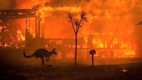 城市资讯台20200110