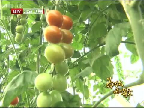 为你而歌 《为你而歌》 20140704 小村官的真功夫