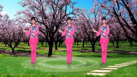 甜美DJ广场舞《相思桃花雨》32步附教学