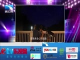 大王小王 《大王小王》 20141114 一个爸爸和他的六百个孩子