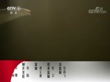 动物世界 《动物世界》 20180411 勇闯包围圈