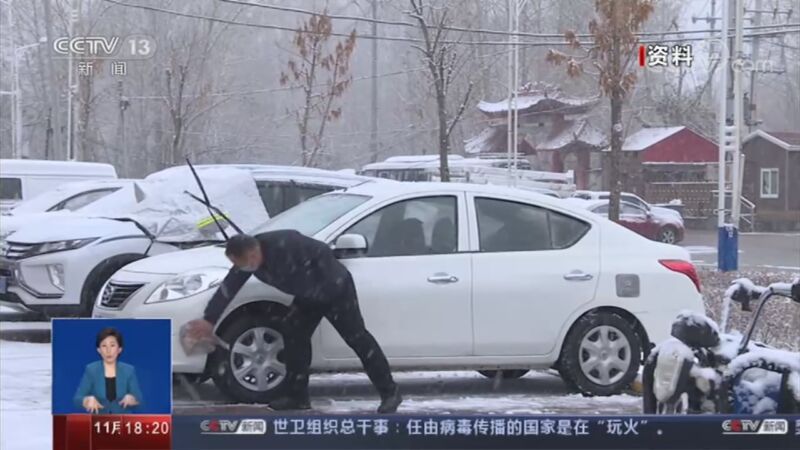 共同关注 《共同关注》 20201117