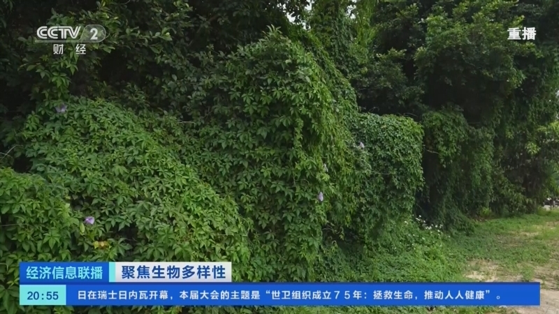 经济信息联播 《经济信息联播》 20230522