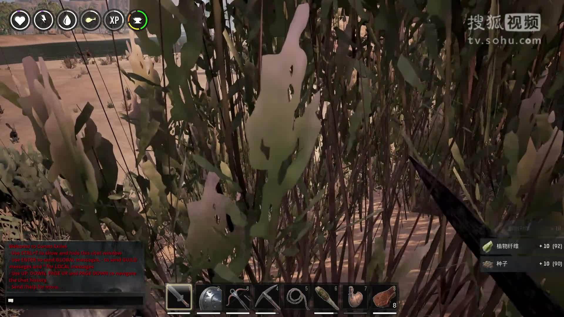 【小本】流放者柯南11〓我们的奴隶〓来看如何获得铁矿石 新沙盒生存游戏开坑