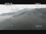 军事纪实 《军事纪实》 20140721 西隆山巡碑记① 初探原始密林