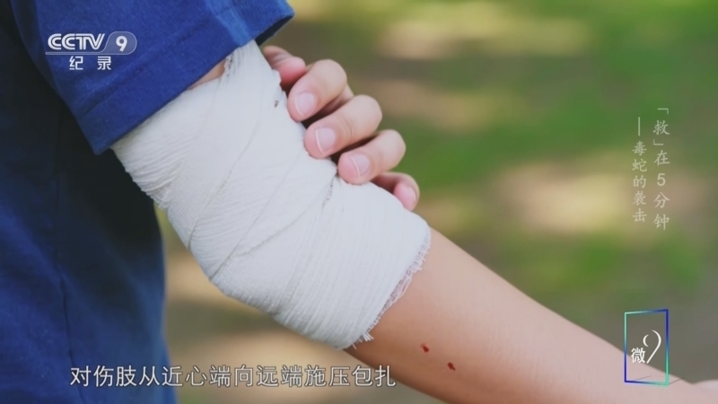 《“救”在5分钟》 第6集 毒蛇的袭击