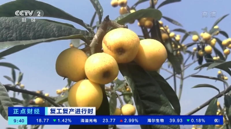 正点财经 《正点财经》 20200518 09:00