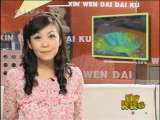 新闻袋袋裤 新闻带袋袋裤 2010年 第194期