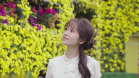 探索小榄菊花会品中华文化 体验枫糖节赏异国风情