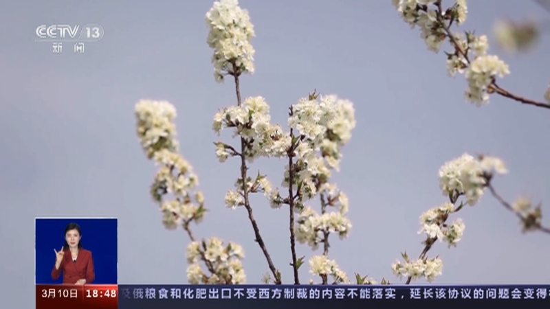 共同关注 《共同关注》 20230310