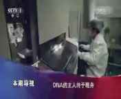 今日说法 《今日说法》 20140727 带血的棉絮